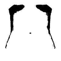 Icône