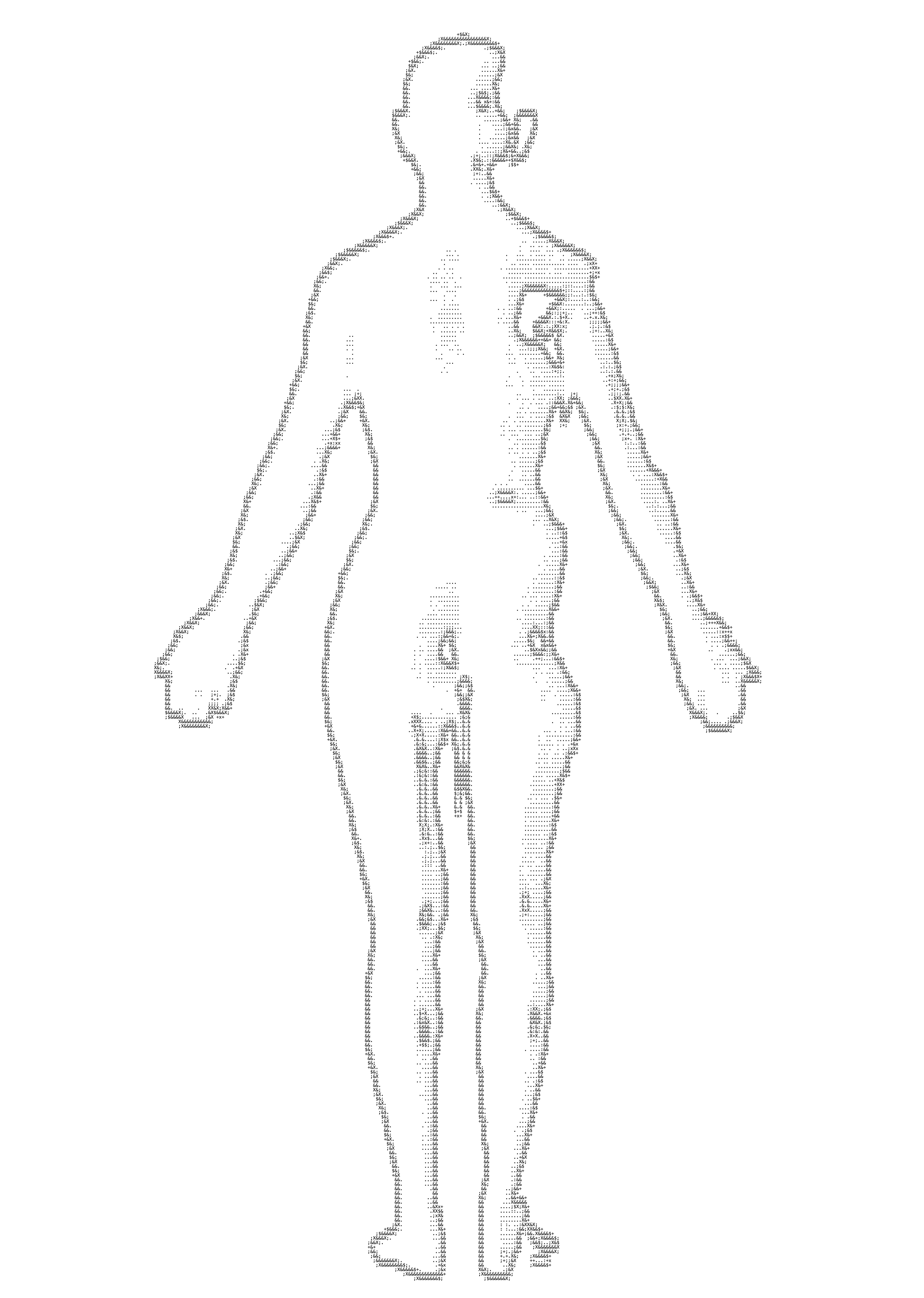 Corps dos