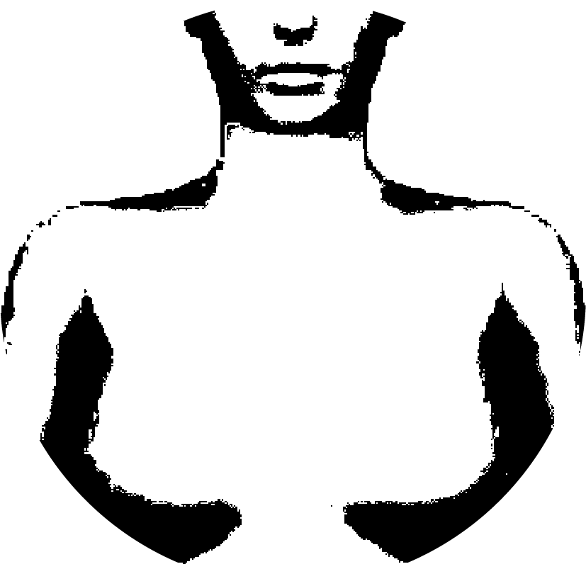 Icône