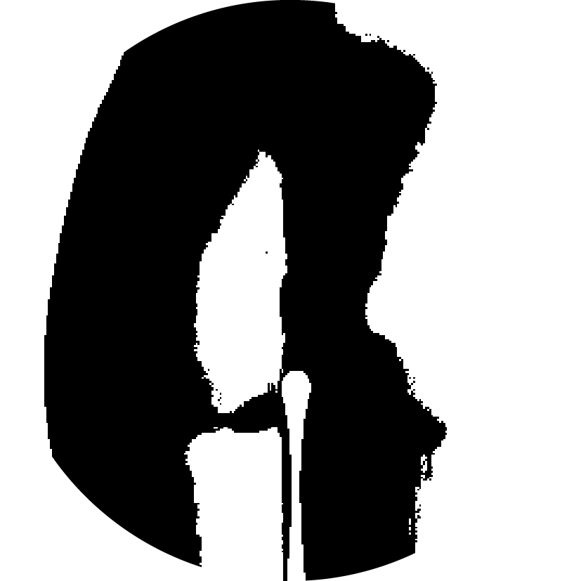 Icône