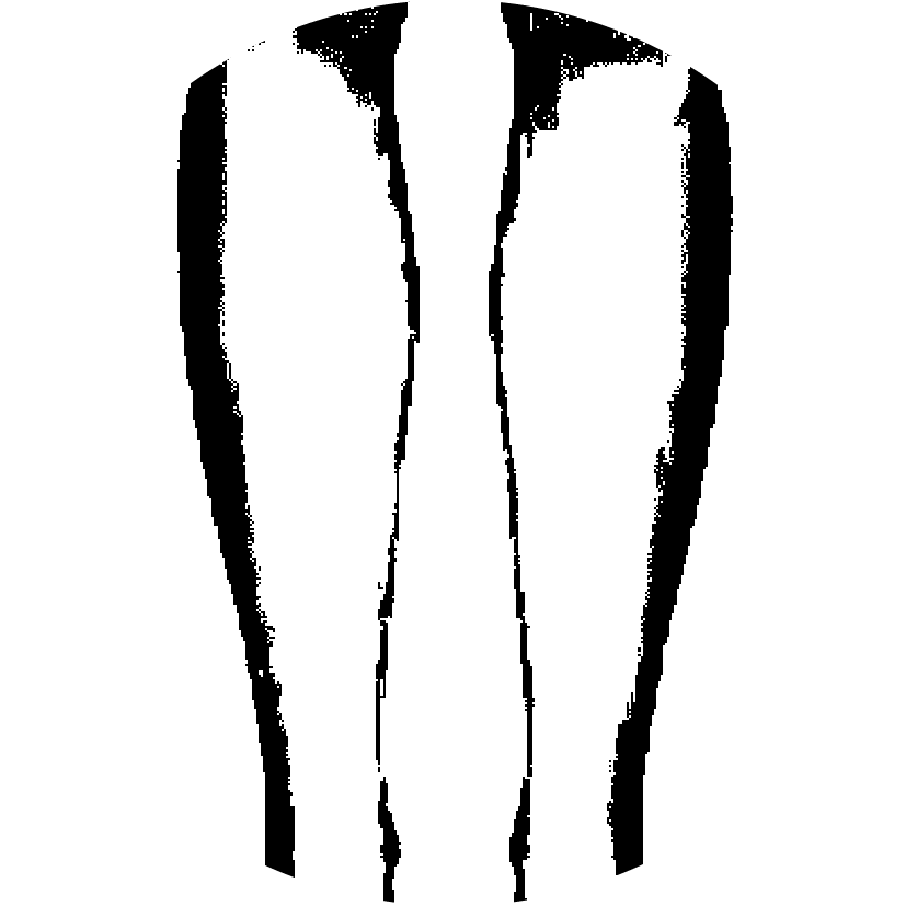 Icône