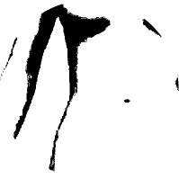 Icône