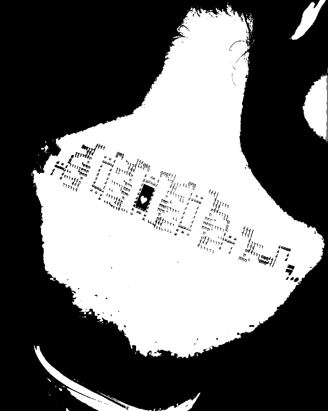 Image bitmap cheval