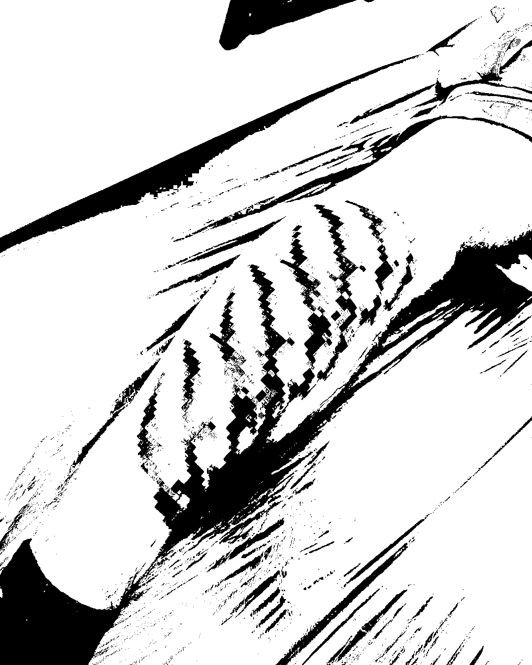 Image bitmap cheval
