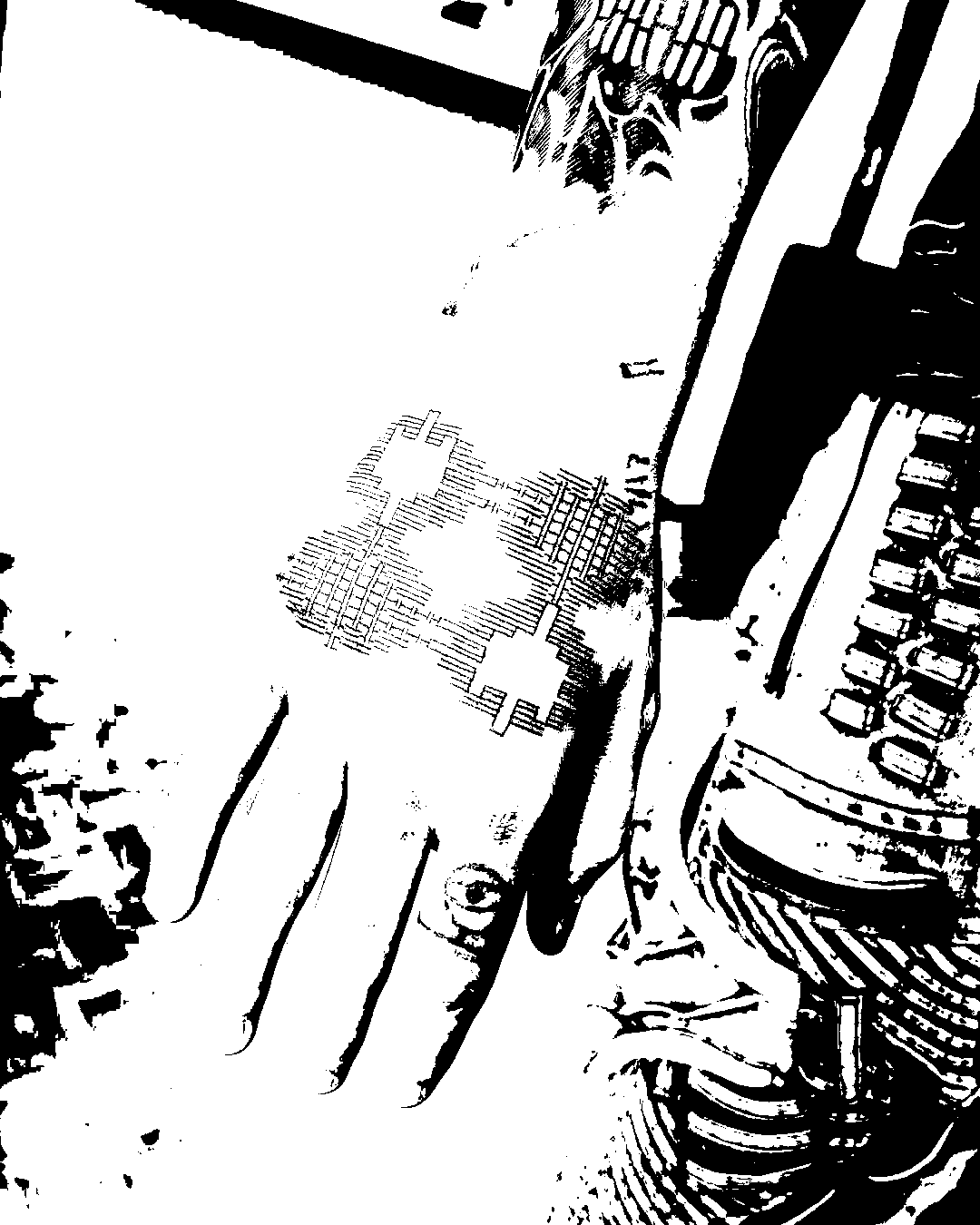 Image bitmap cheval