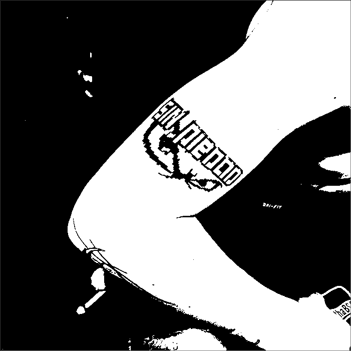 Image bitmap cheval