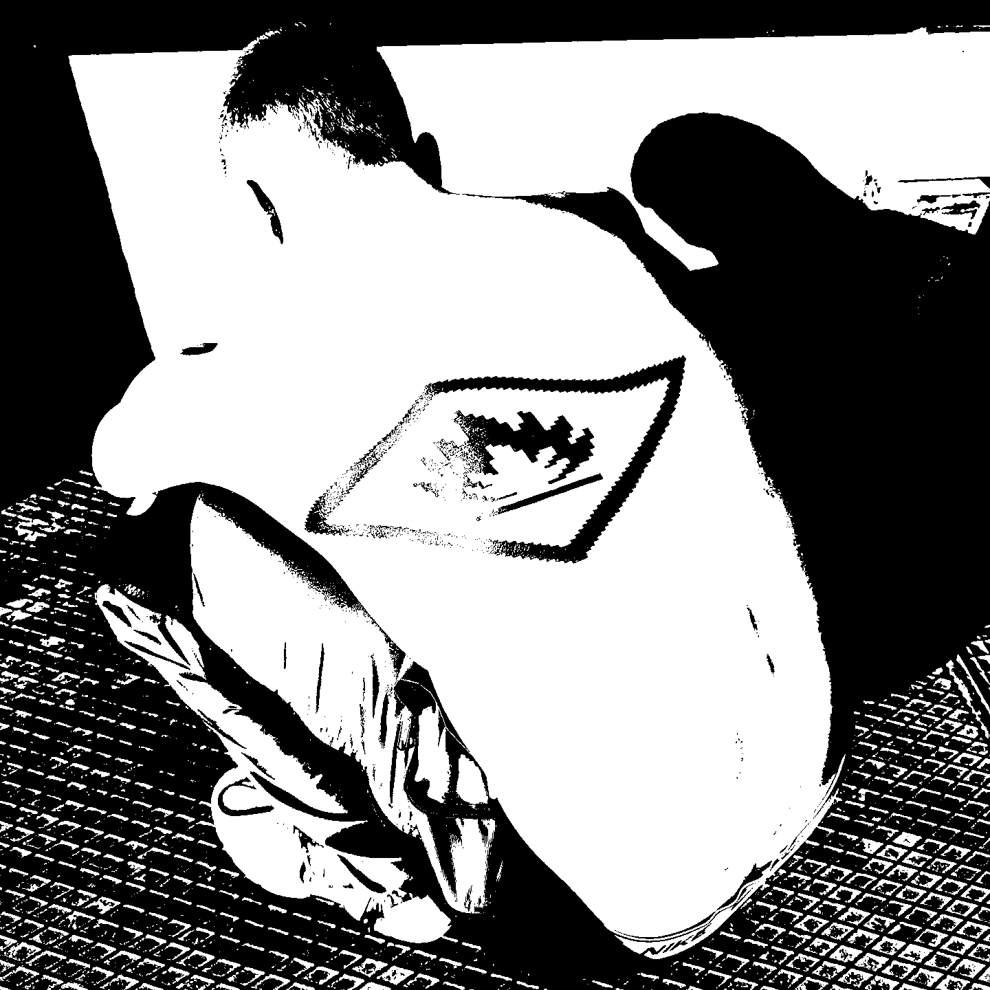 Image bitmap cheval