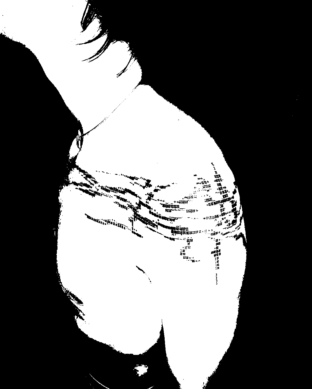 Image bitmap cheval