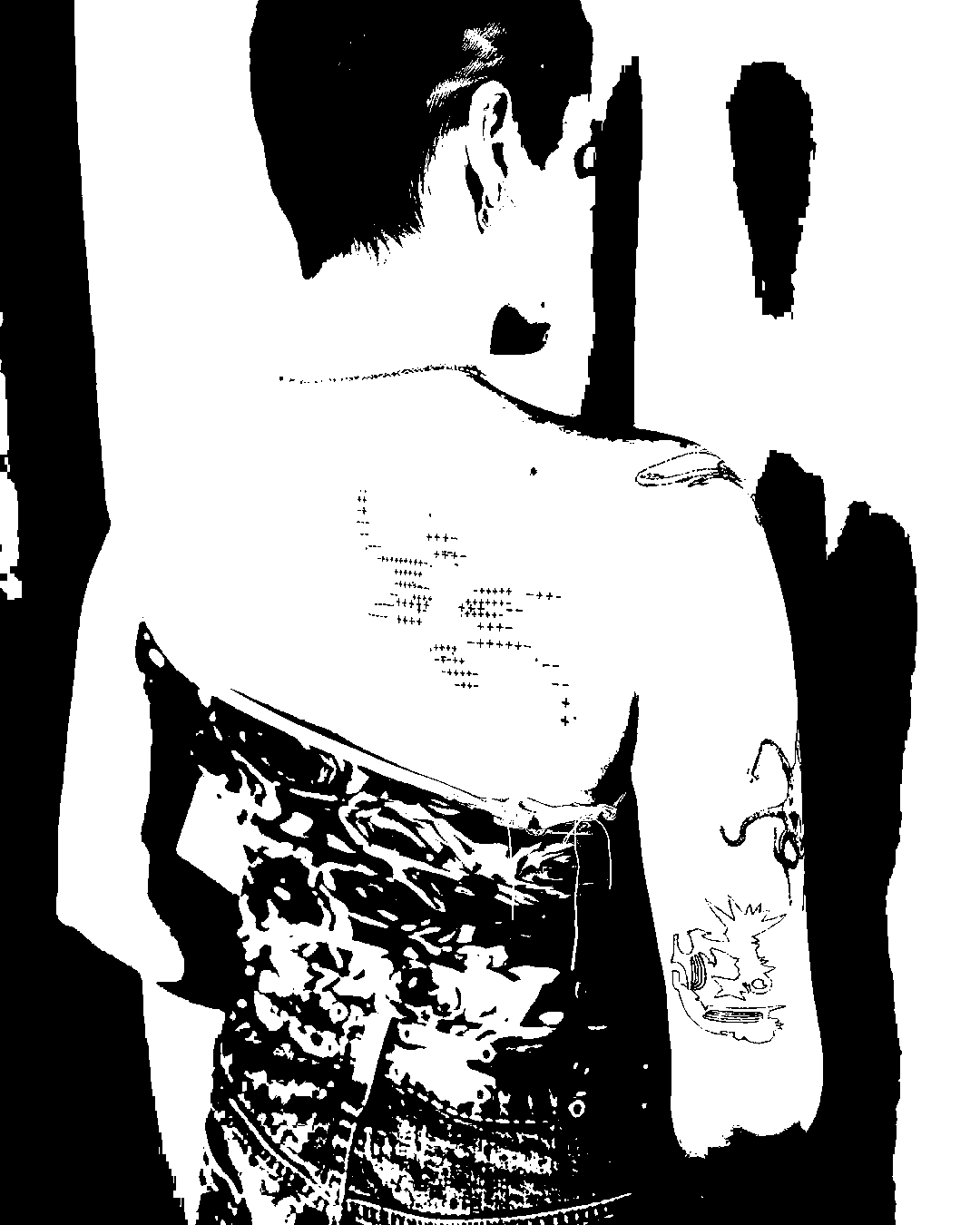 Image bitmap cheval