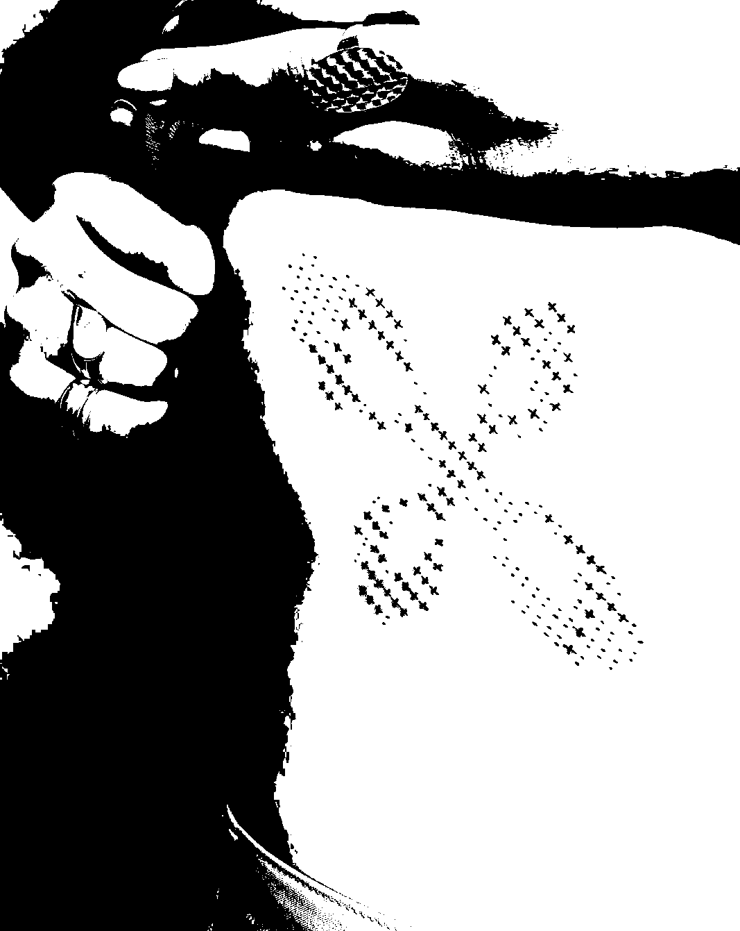 Image bitmap cheval