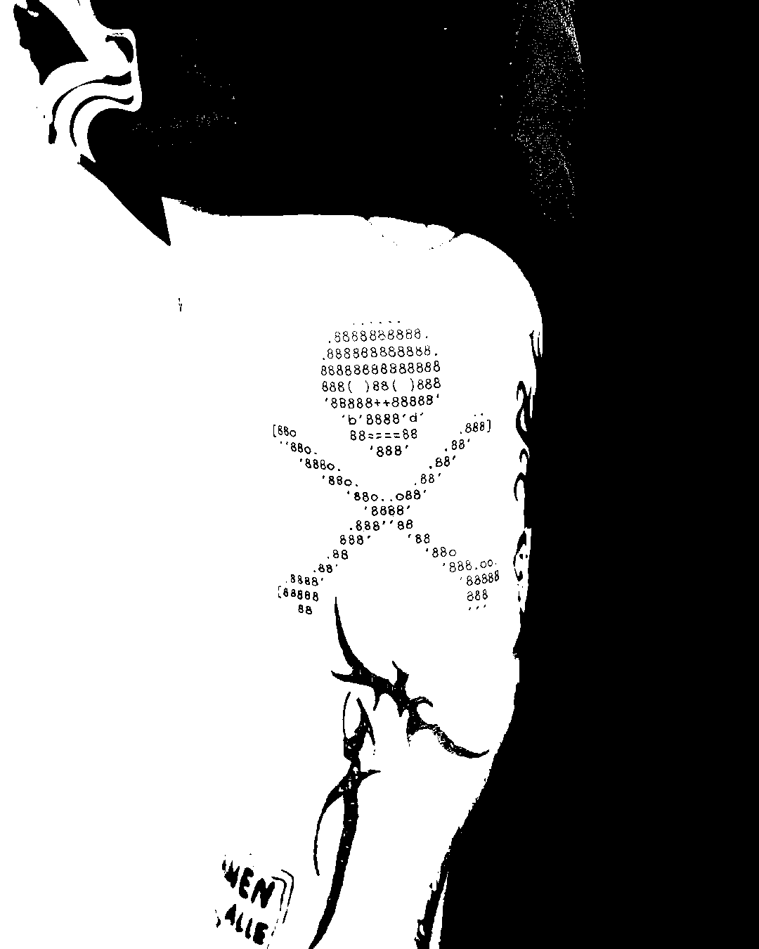 Image bitmap cheval