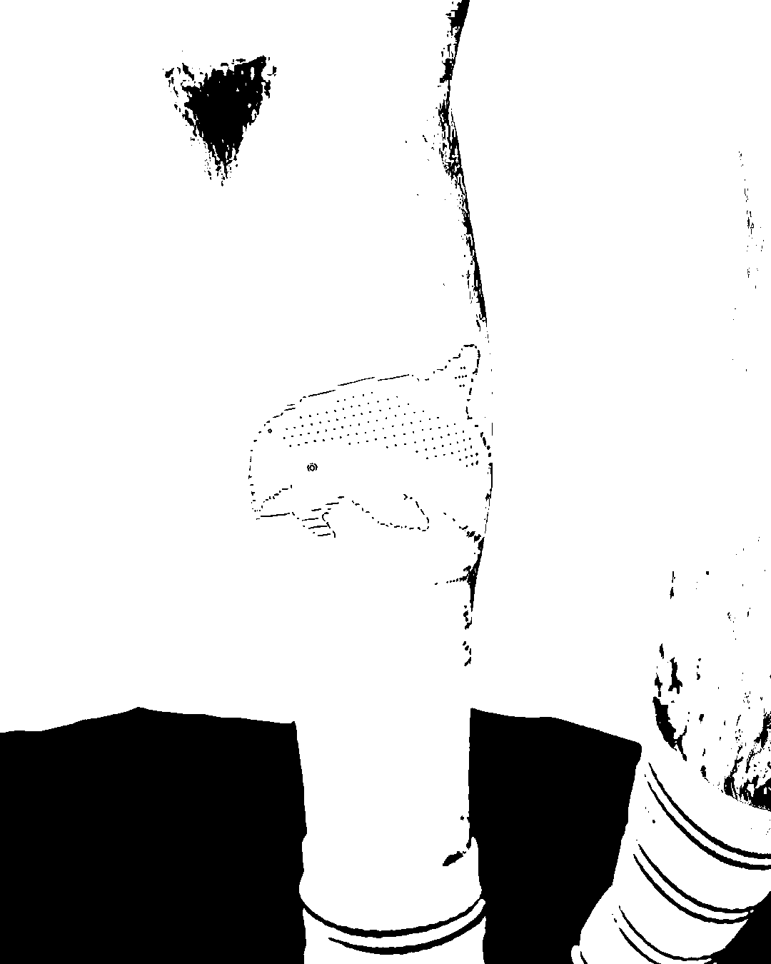 Image bitmap cheval