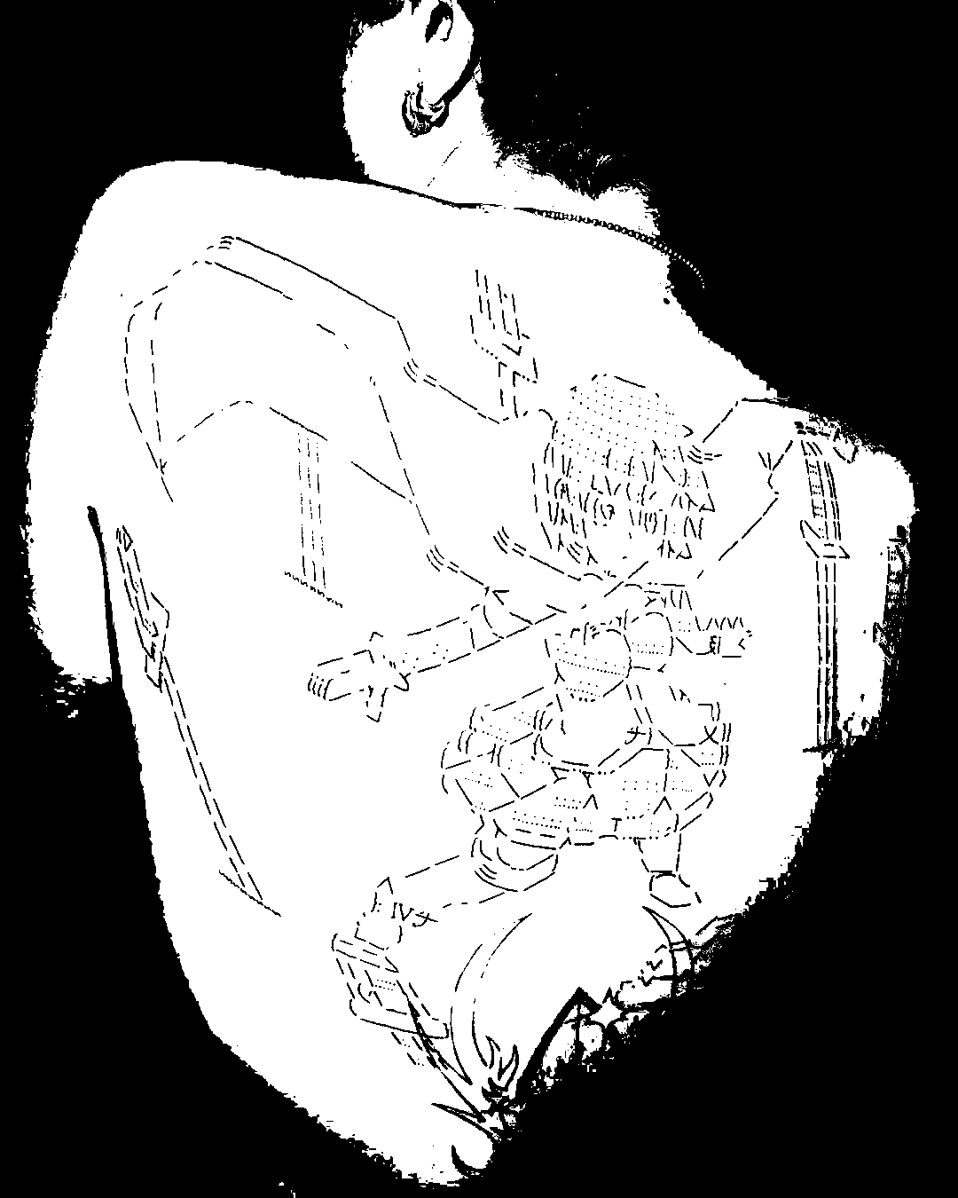 Image bitmap cheval