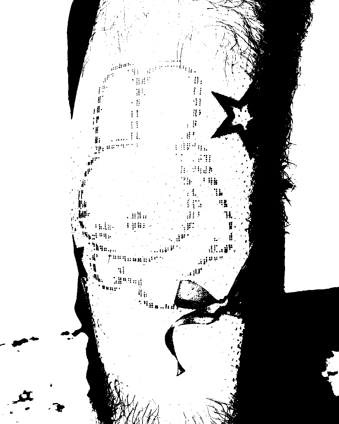 Image bitmap cheval
