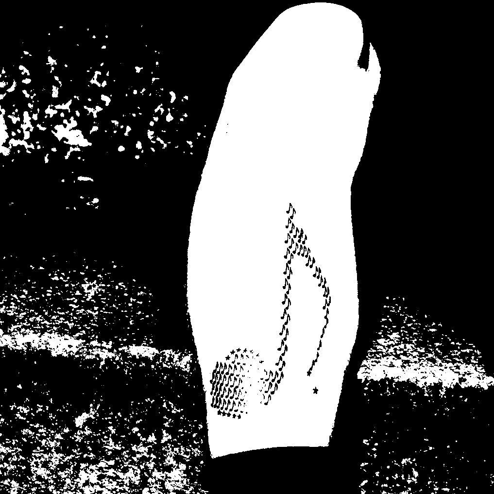 Image bitmap cheval