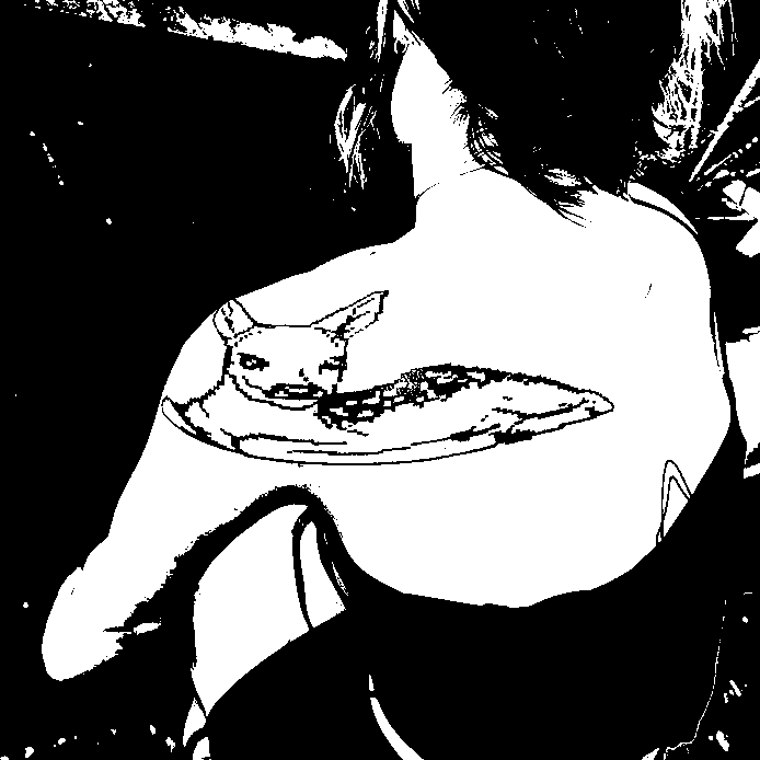 Image bitmap cheval