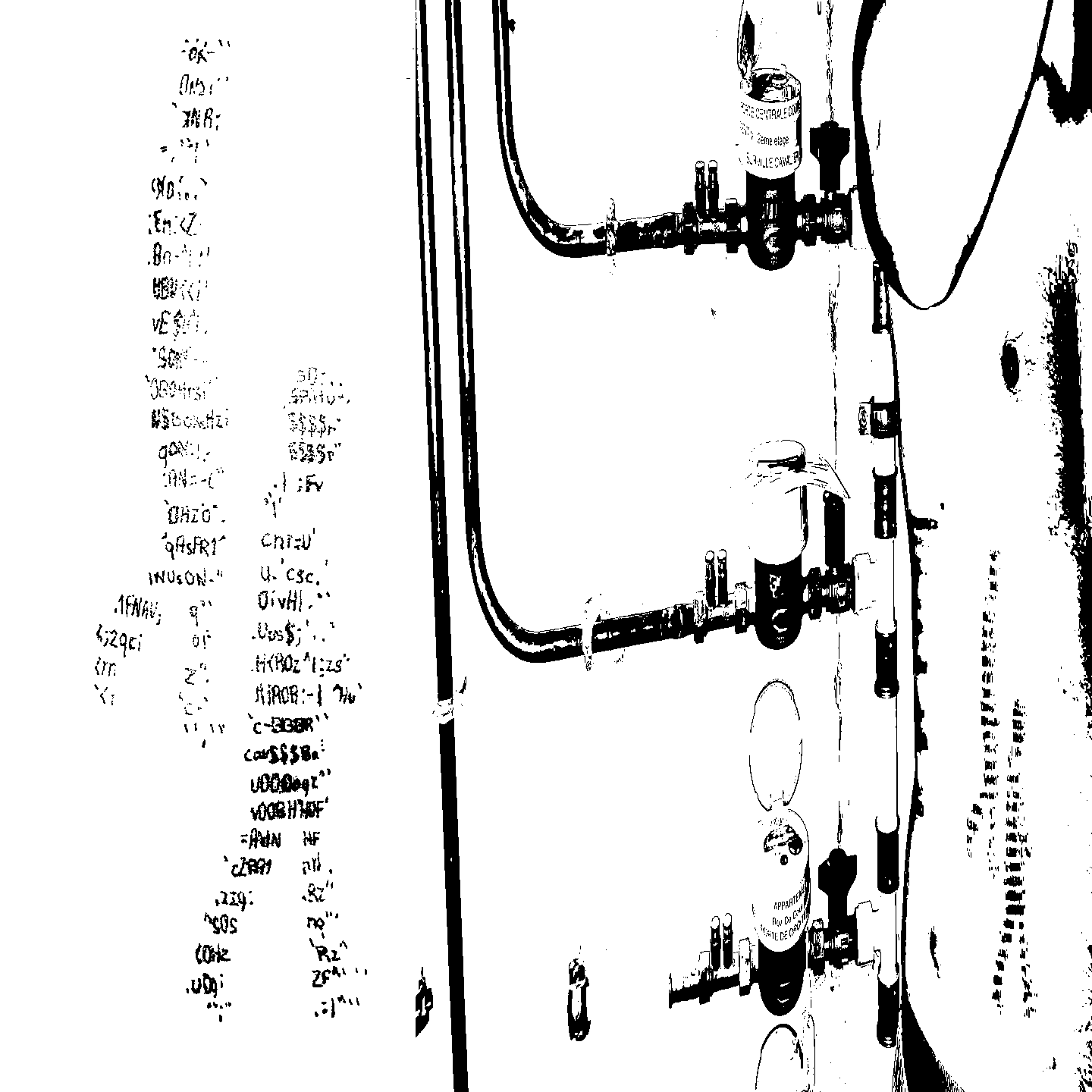Image bitmap cheval