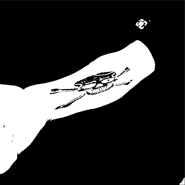 Image bitmap cheval