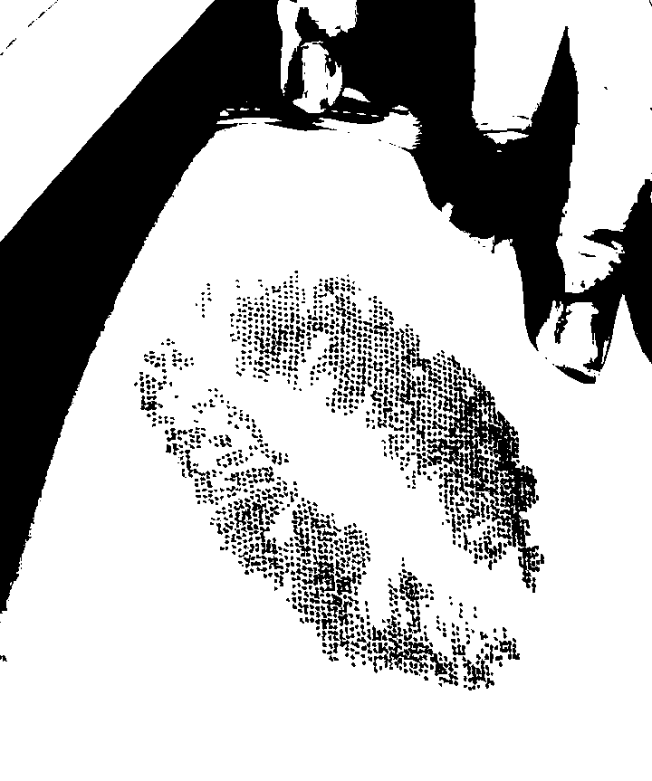 Image bitmap cheval
