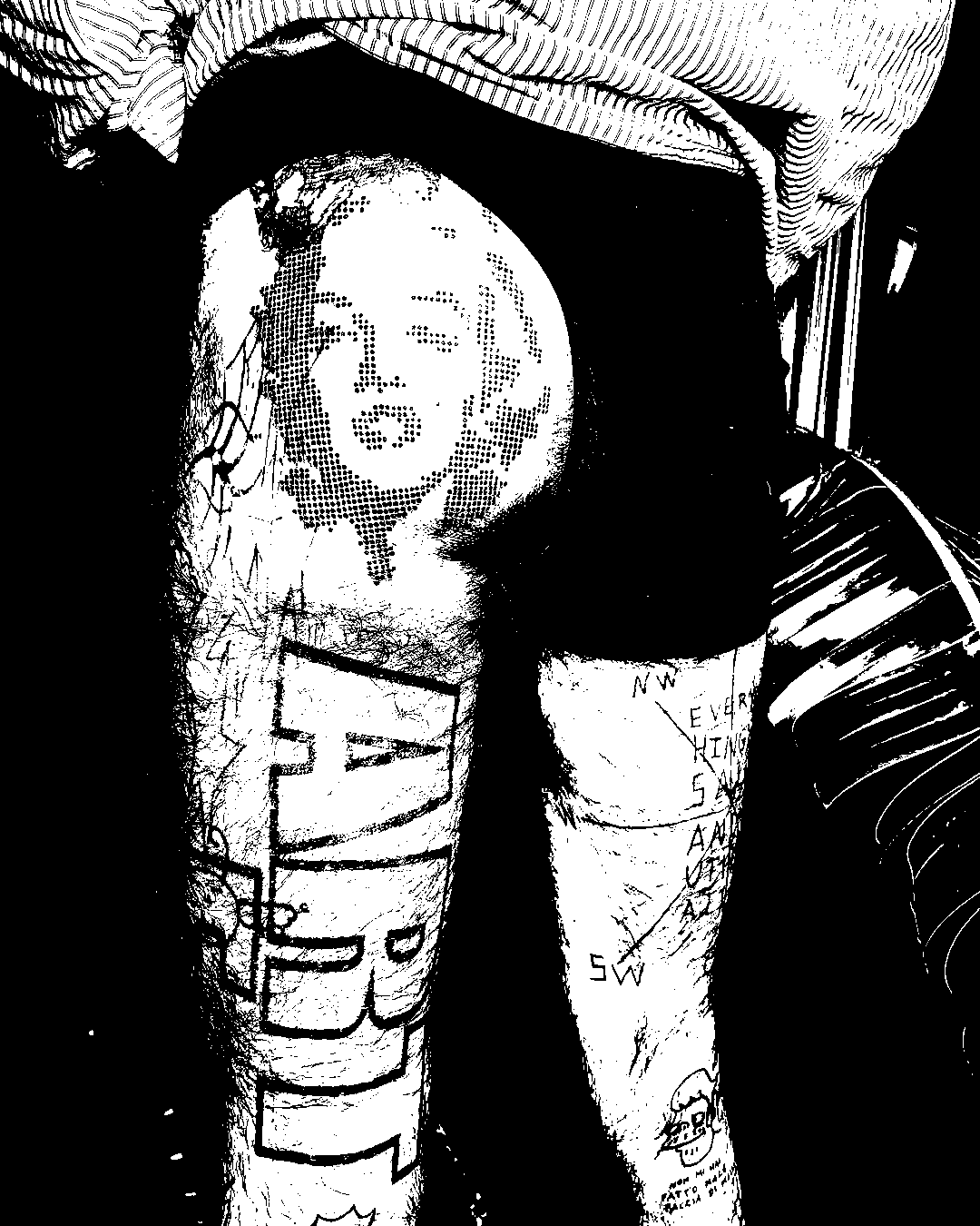 Image bitmap cheval
