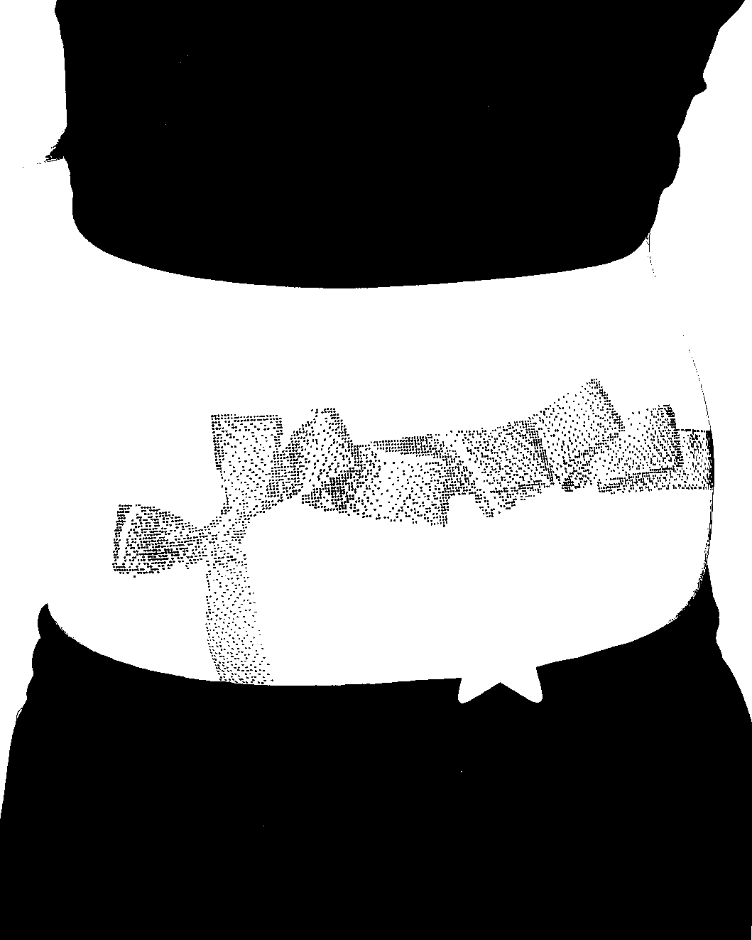 Image bitmap cheval