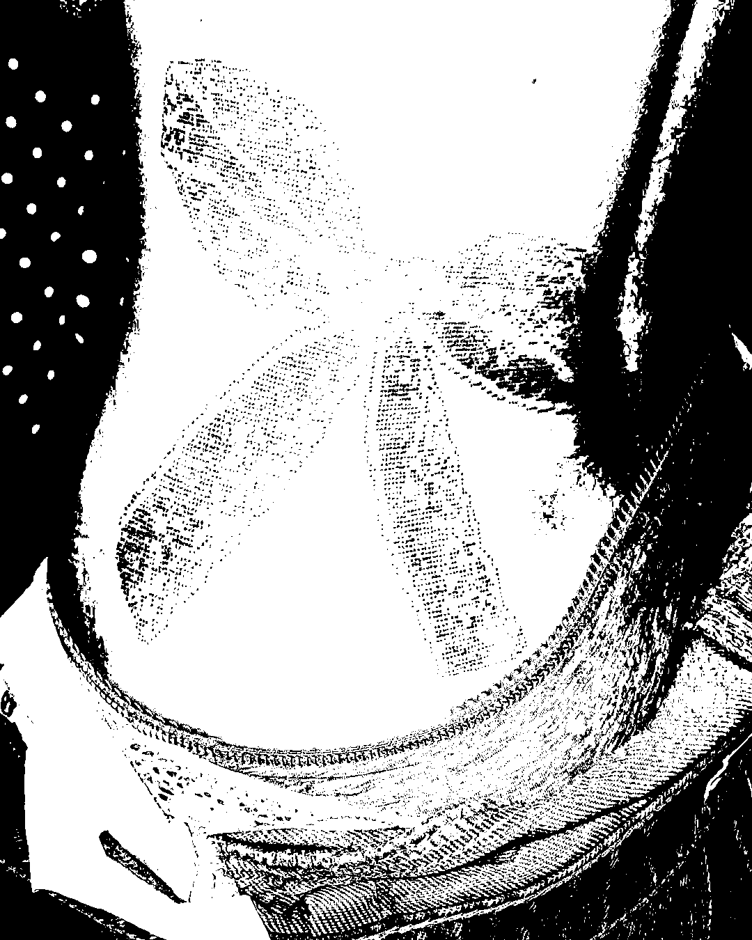Image bitmap cheval