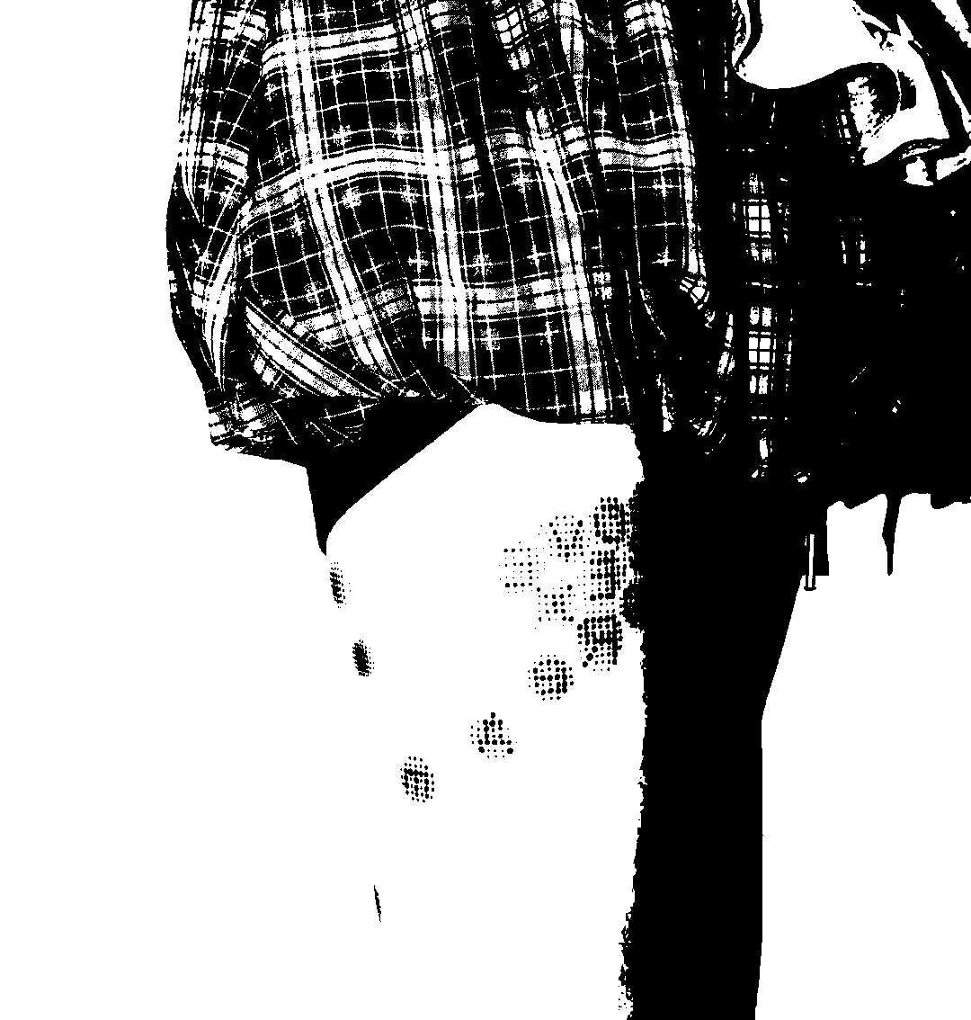 Image bitmap cheval