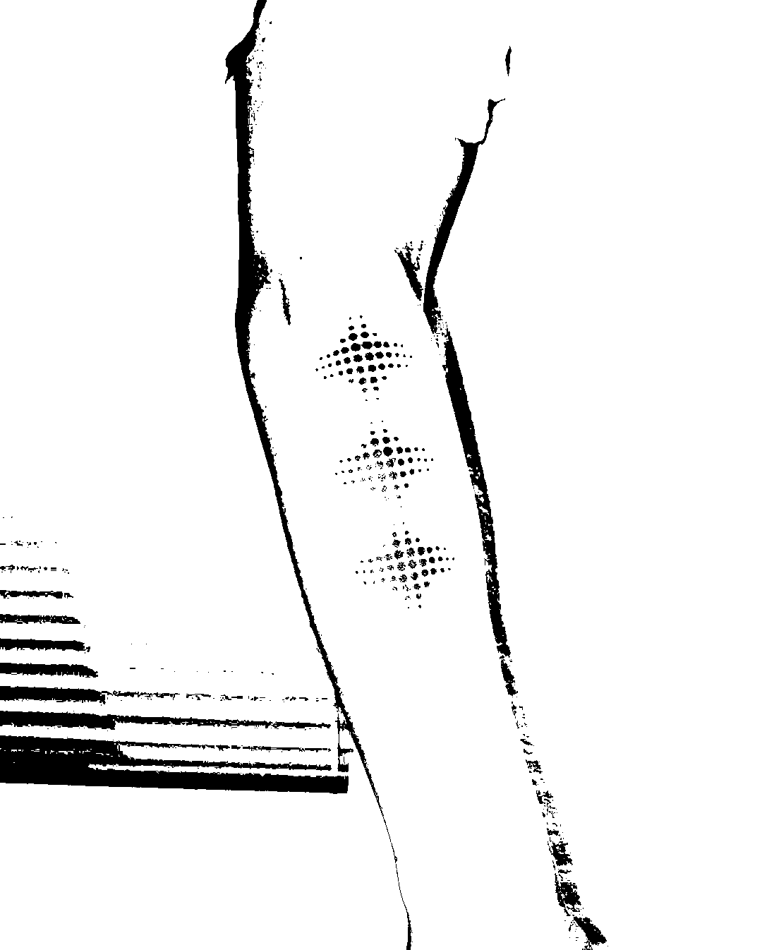 Image bitmap cheval
