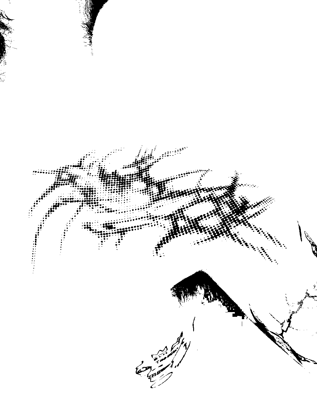 Image bitmap cheval