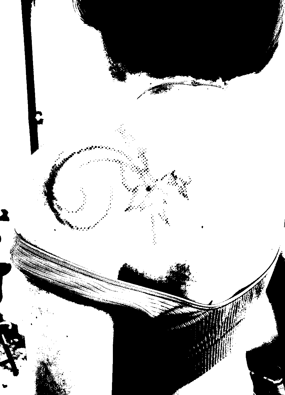 Image bitmap cheval