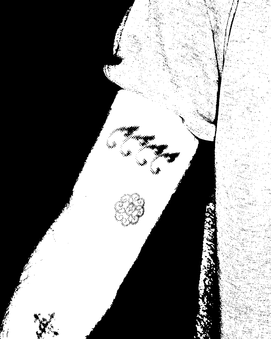 Image bitmap cheval