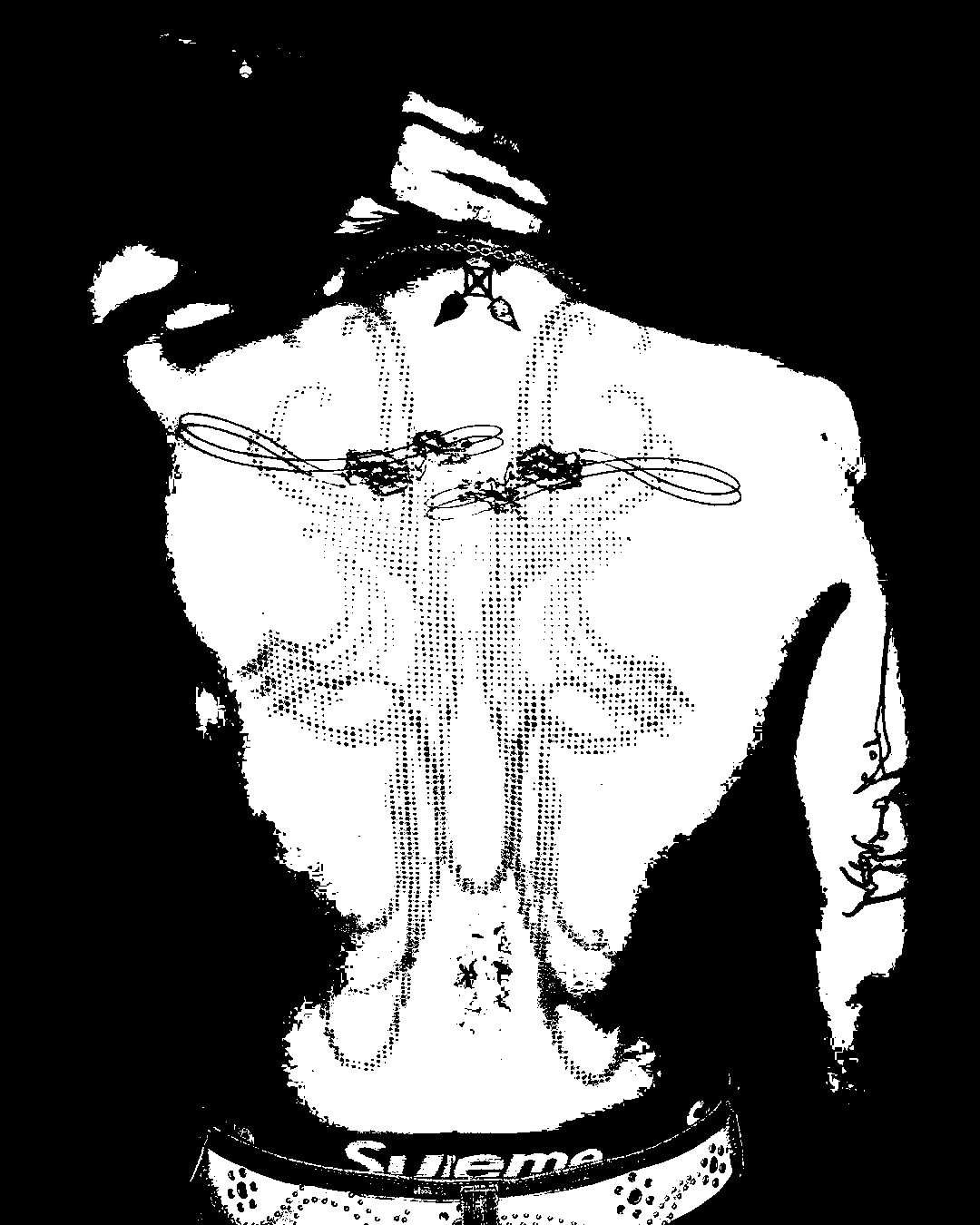 Image bitmap cheval