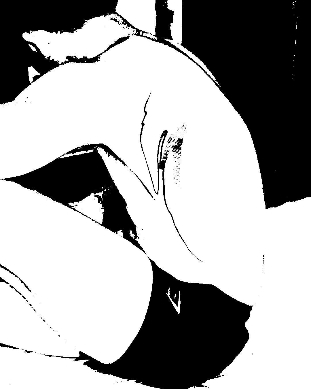 Image bitmap cheval