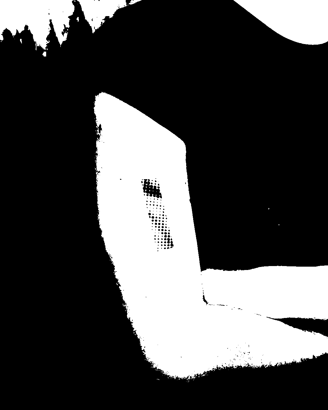 Image bitmap cheval