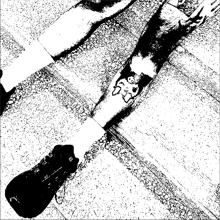 Image bitmap cheval
