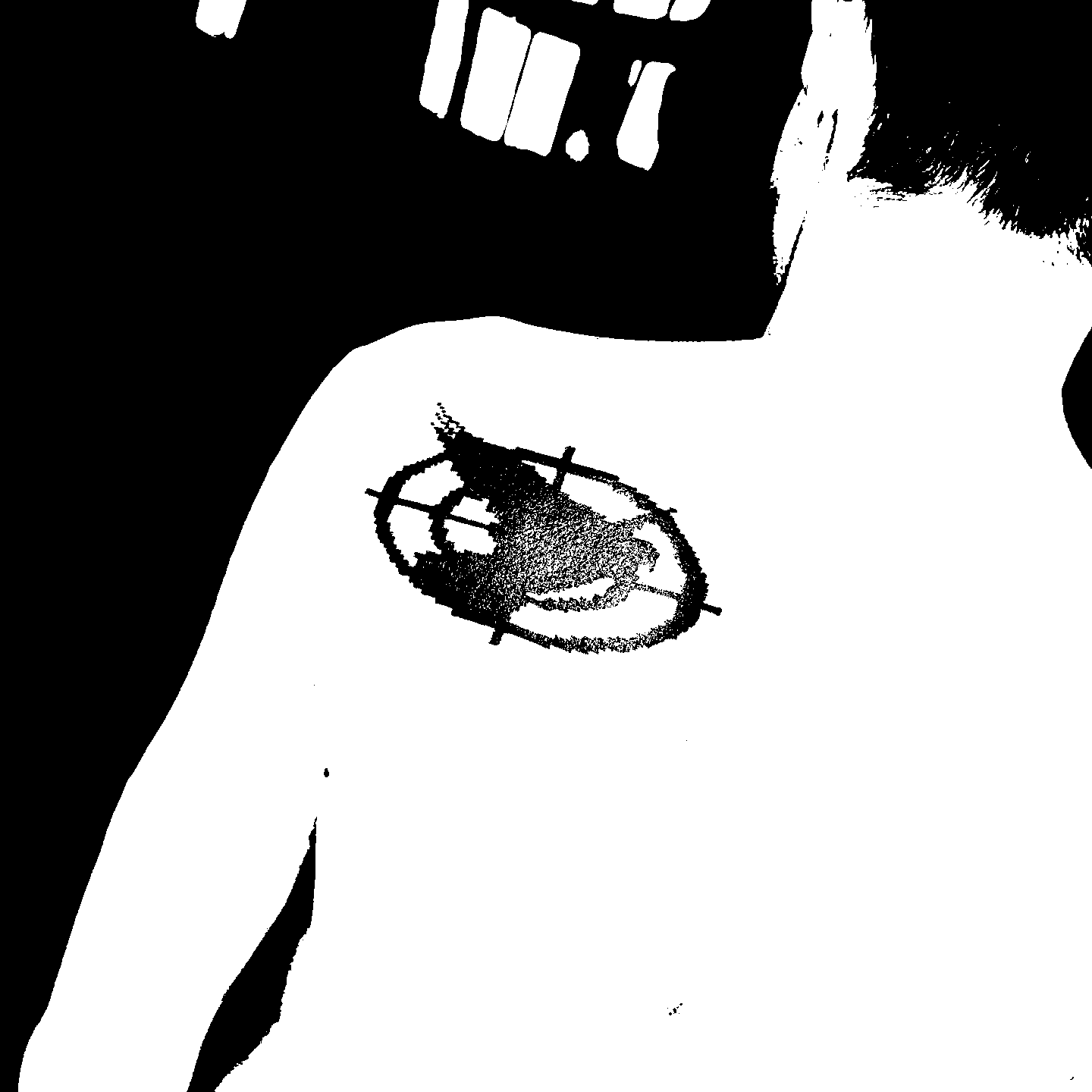 Image bitmap cheval