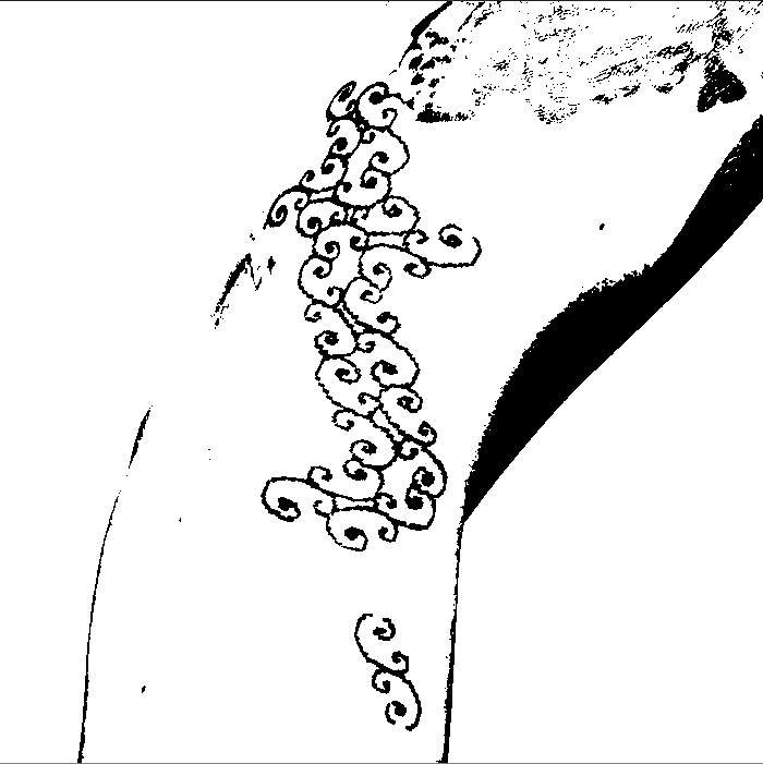 Image bitmap cheval