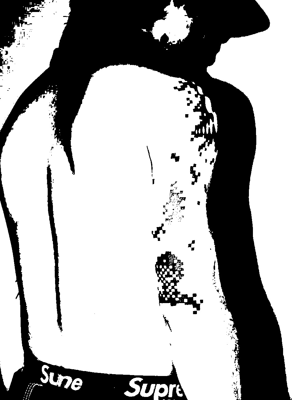 Image bitmap cheval