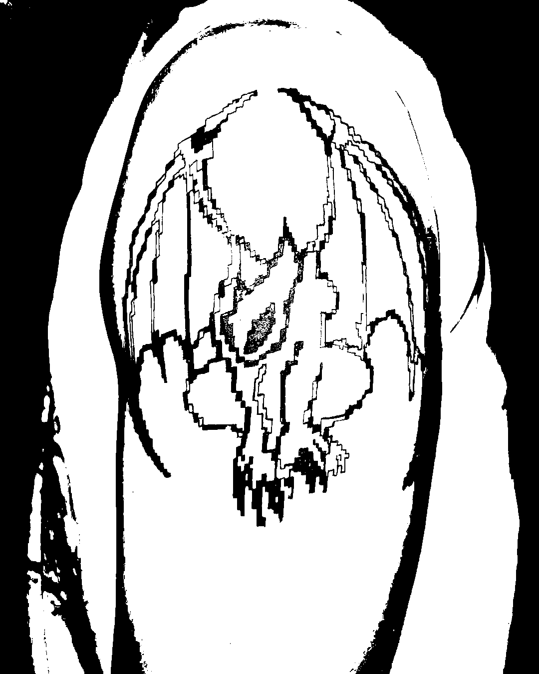 Image bitmap cheval