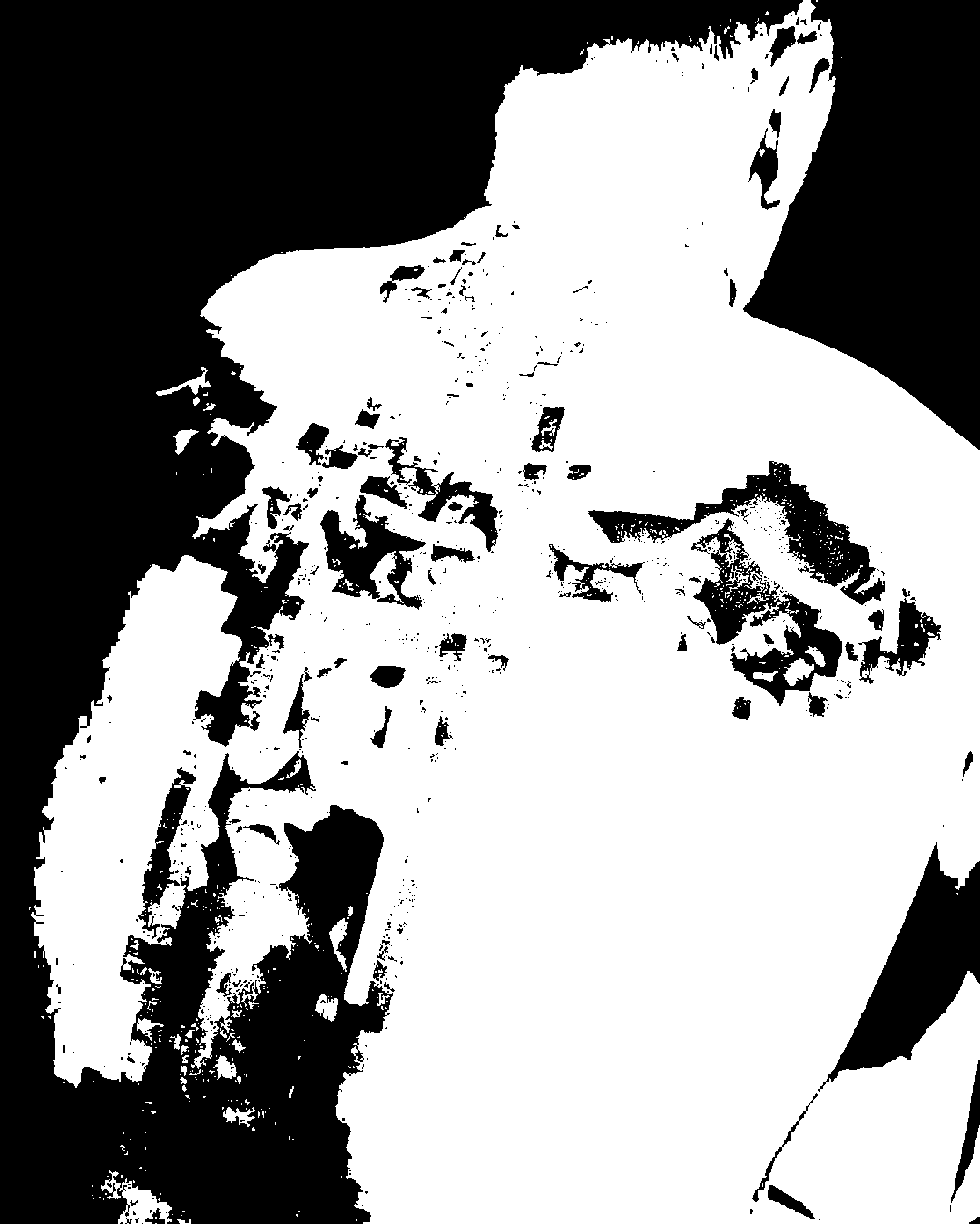 Image bitmap cheval