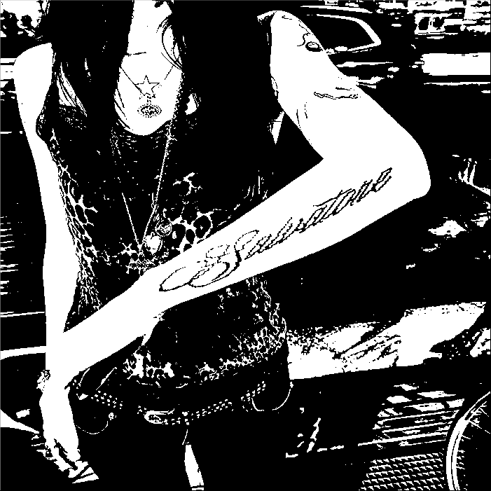 Image bitmap cheval
