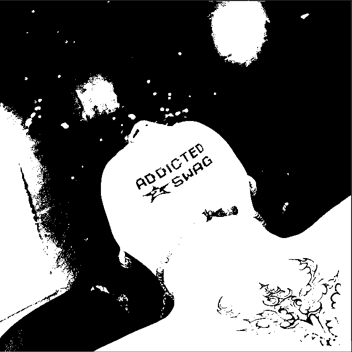 Image bitmap cheval