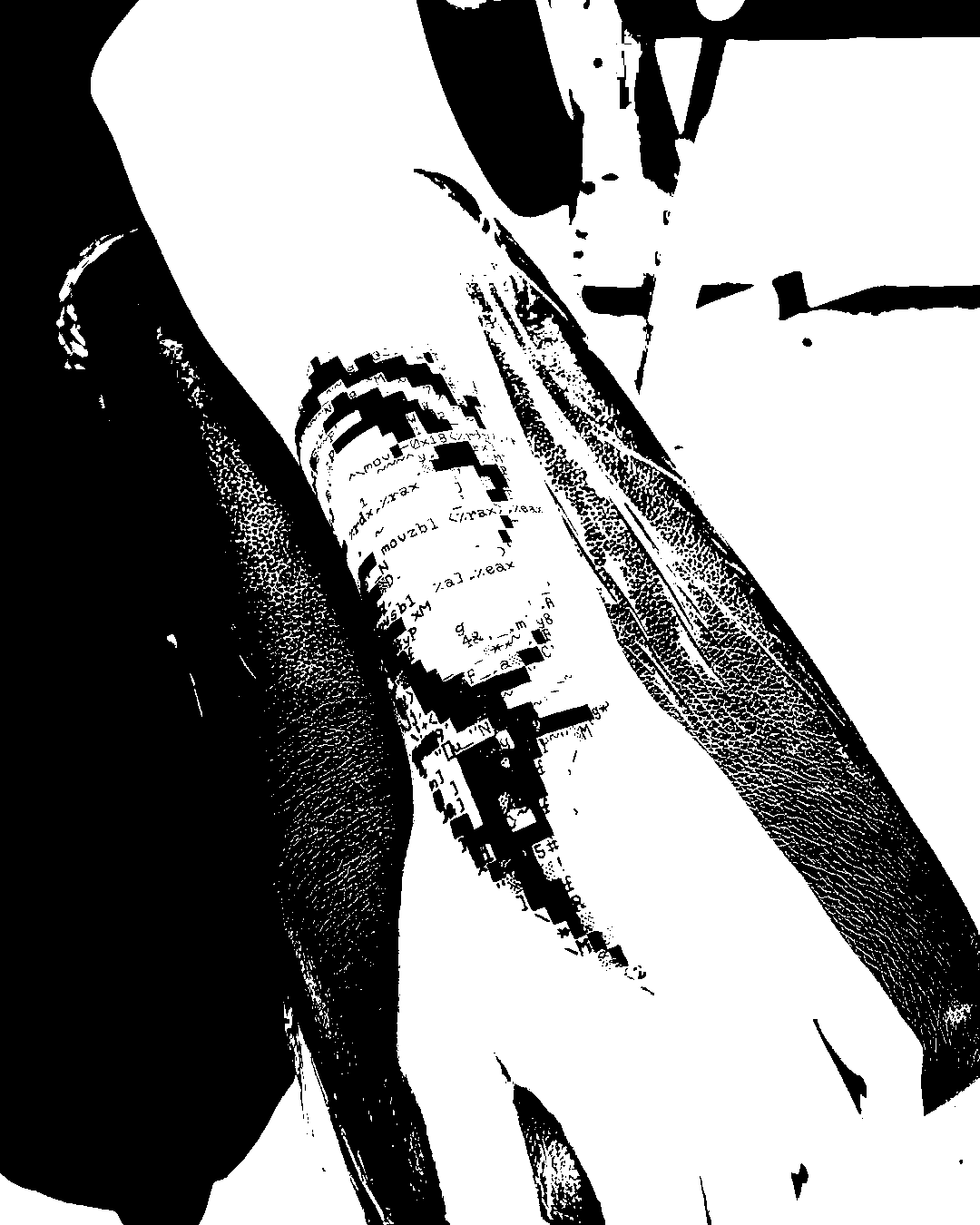 Image bitmap cheval