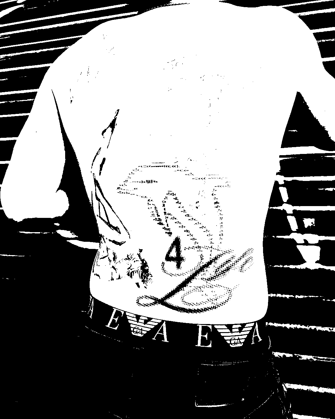 Image bitmap cheval