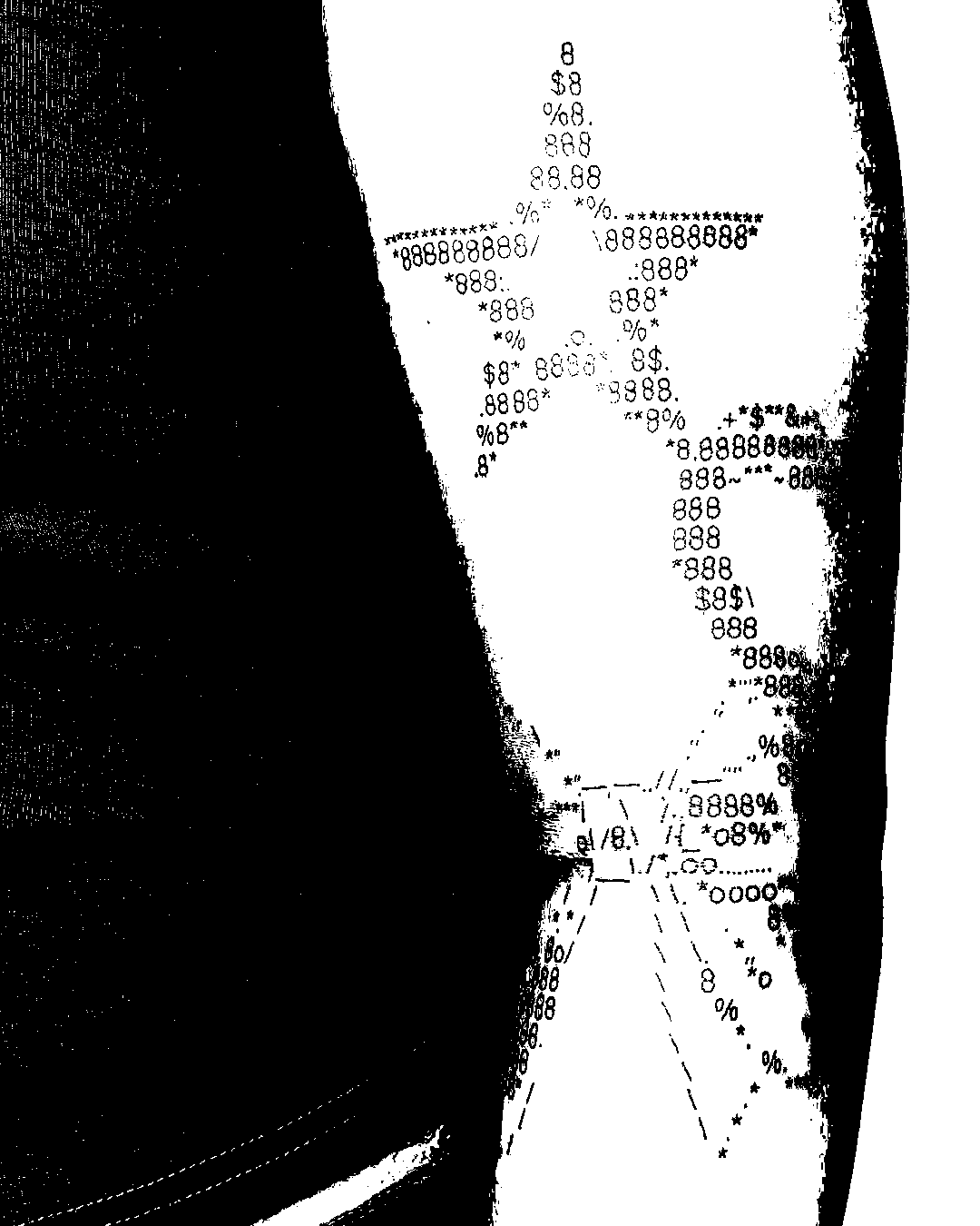 Image bitmap cheval
