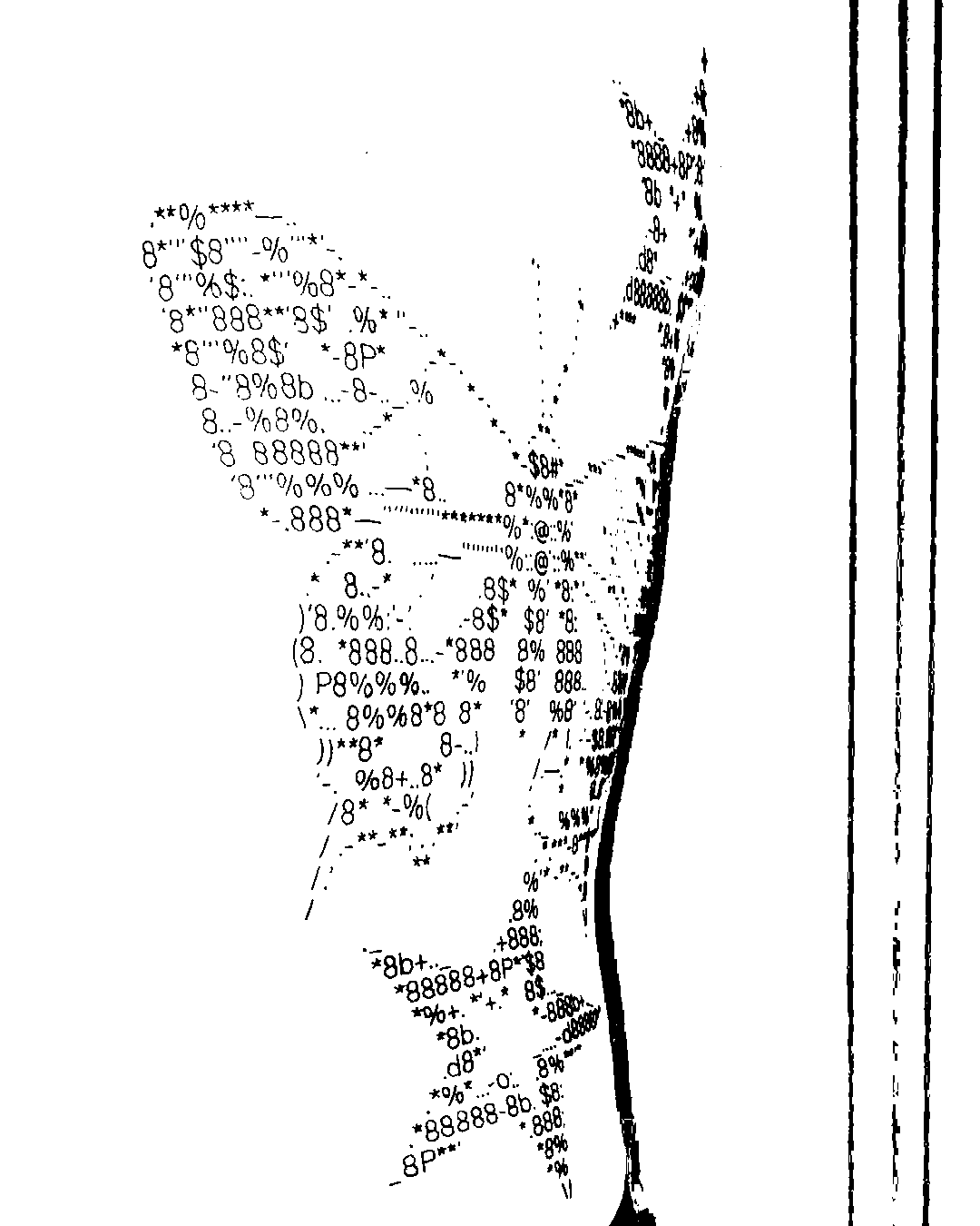 Image bitmap cheval