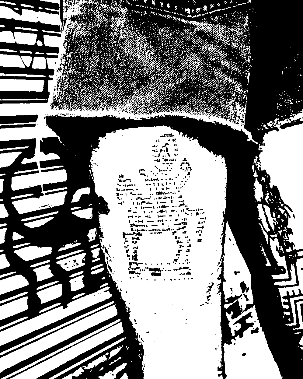 Image bitmap cheval