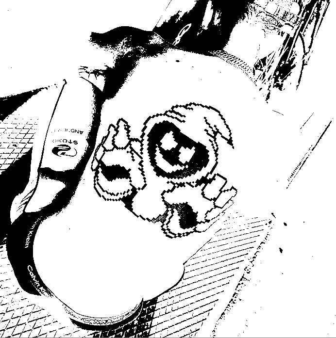 Image bitmap cheval